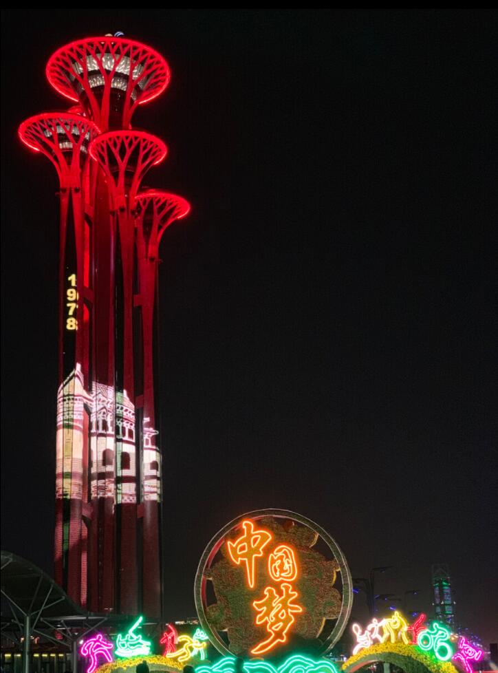 墨荷藍(lán)群造型景觀燈